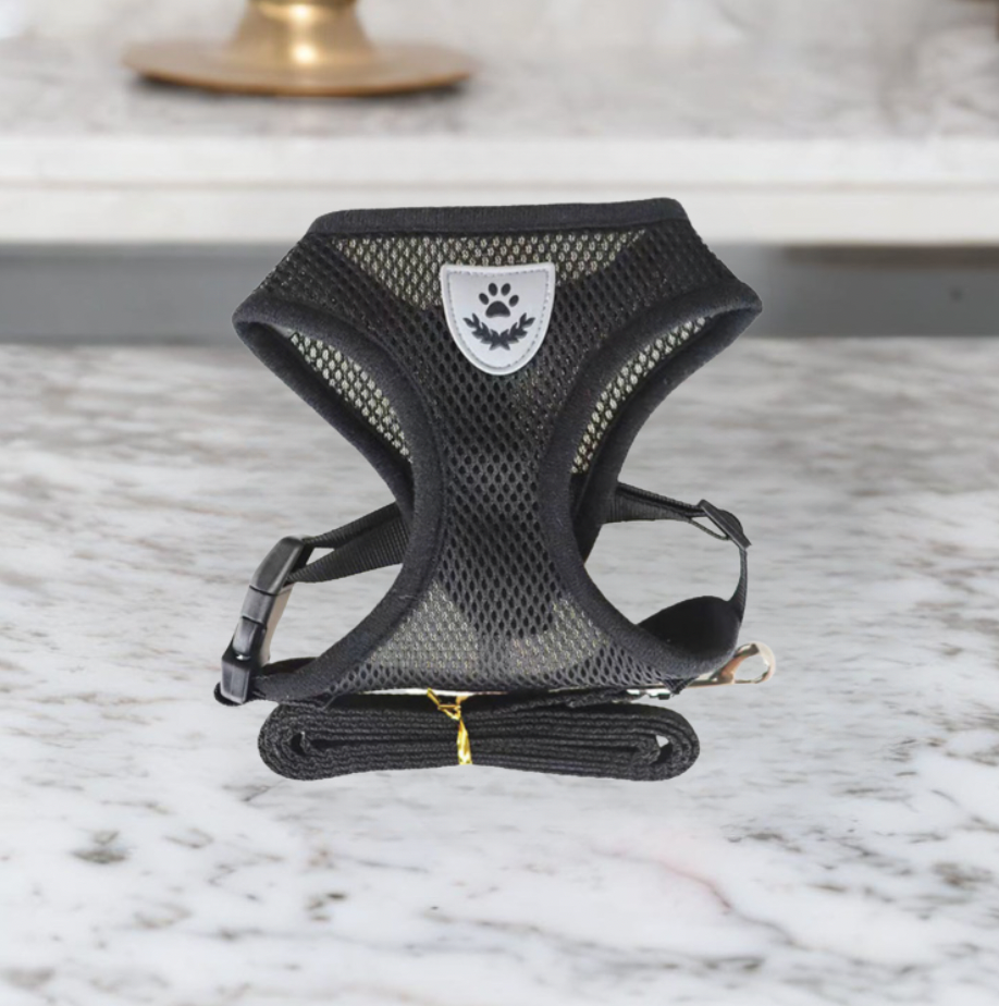 Comfortable Cat Harness and Leash Set, Adjustable Breathable Design for Safe Outdoor Adventures – Best Cat Harness for Kittens and Cats 2