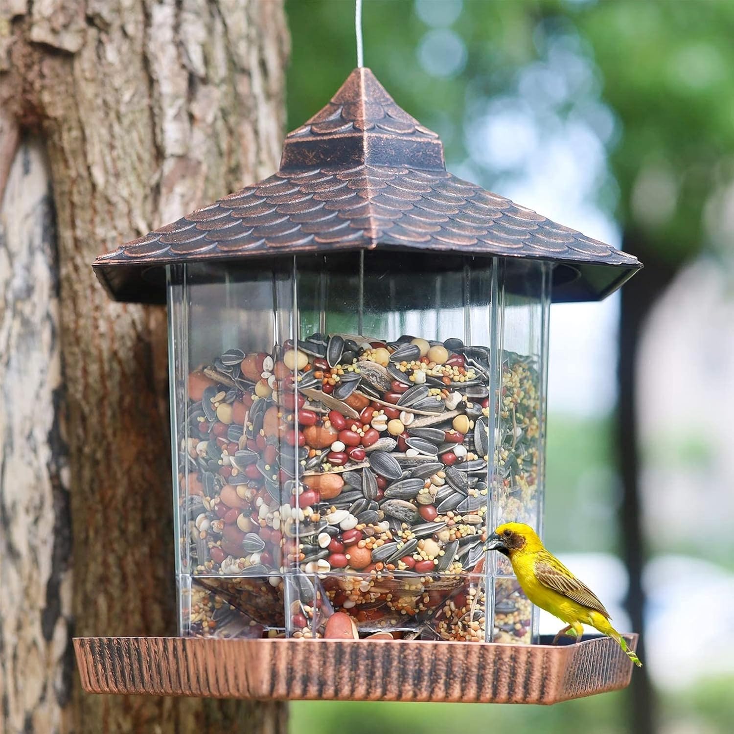 EcoHaven | Stylish Durable Hanging Bird Feeder with Copper Roof 1