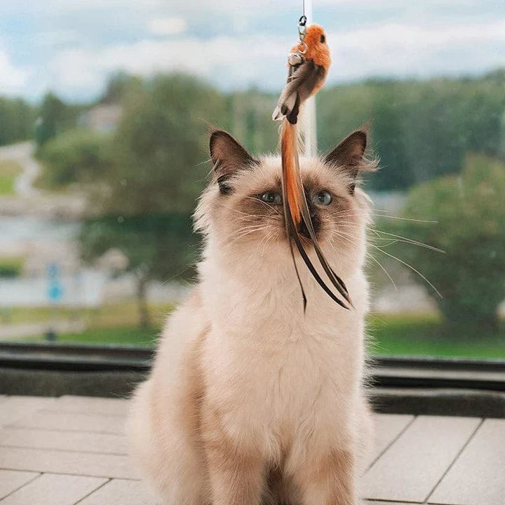 Interactive Cat Toy with Realistic Bird Movements – Engaging and Safe Simulation for Cats 2