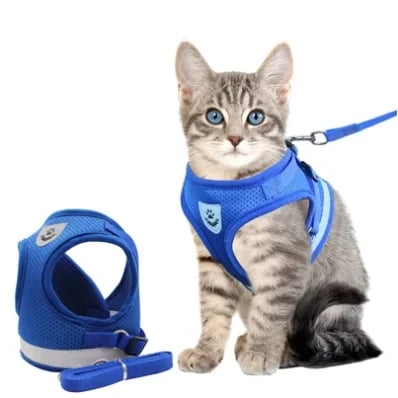 Reflective Cat Harness and Leash Set with Adjustable Straps for Safe Night Adventures – Comfortable Fit for Cats and Kittens 4