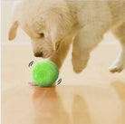 Automatic Rolling Dog Ball - Interactive Rechargeable Toy for Indoor/Outdoor Play, Safe Non-Toxic Material 2