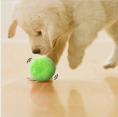 Automatic Rolling Dog Ball - Interactive Rechargeable Toy for Indoor/Outdoor Play, Safe Non-Toxic Material 2