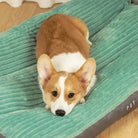 Comfortable Orthopedic Dog Bed for Large Breeds with Supportive Foam – Non-Slip Fleece Design 4