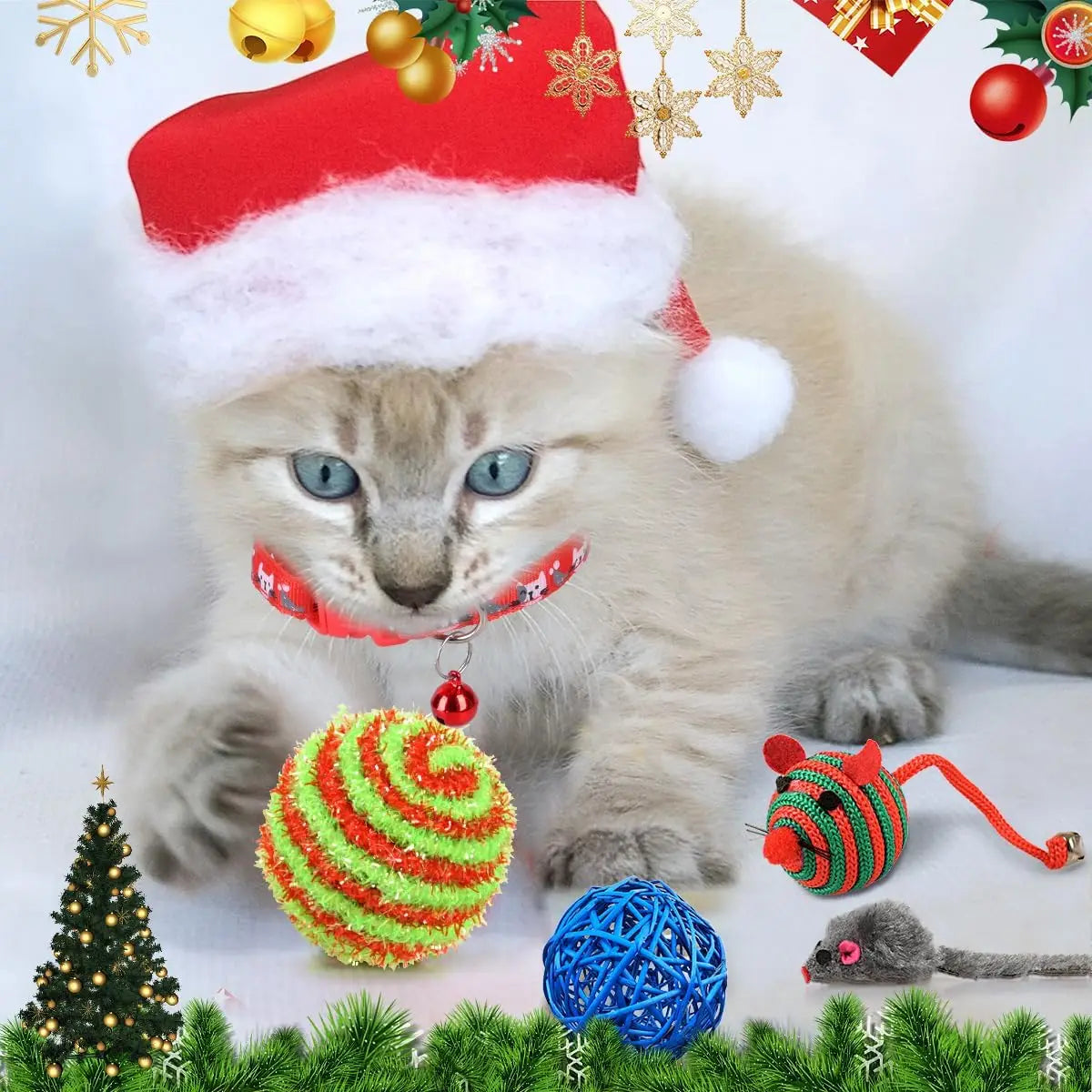 FelineFest | Interactive Cat Advent Calendar with Engaging Toys and Treats 2