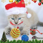 FelineFest | Interactive Cat Advent Calendar with Engaging Toys and Treats 2