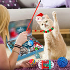 FelineFest | Interactive Cat Advent Calendar with Engaging Toys and Treats 3