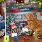 FelineFest | Interactive Cat Advent Calendar with Engaging Toys and Treats 4