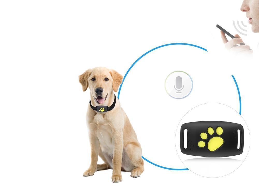 PawRadar | Real-Time GPS Cat Collar with Reliable Satellite Tracking 2