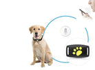 PawRadar | Real-Time GPS Cat Collar with Reliable Satellite Tracking 2