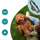 SilentPal Collar – An adjustable, humane anti-bark collar for dogs. 2