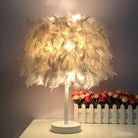VelvetGlow - Feather Globe Accent Lamp 4