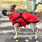 Waterproof Dog Coat with Built-in Harness – Warm, Weather-Resistant Dog Jacket for All Breeds 3
